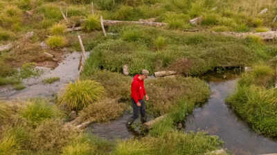 a new waterscape has been created on the holnicote estate in somerset national trust photos