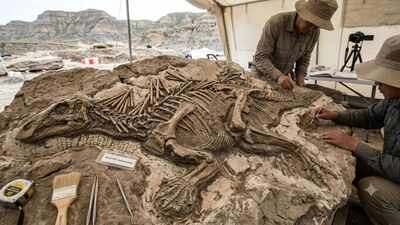 china39s 125 million year old dinosaur fossil reveals preserved skin strange spikes and a previously