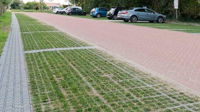 dutch cities are replacing solid concrete surfaces with grass filled paving blocks that absorb rainw