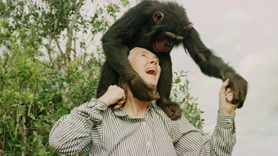 quote of the day by jane goodall why quoteven that great scientist albert einstein sustained a mysti