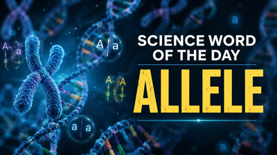 science word of the day allele know its meaning who introduced the term and its practical applicatio