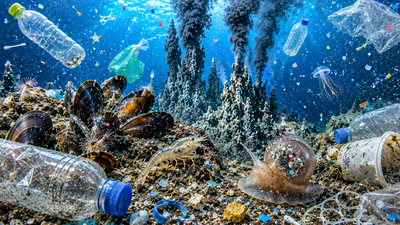 scientists looked 2000 metres below the ocean and found microplastics in 92 of deep sea animals reve