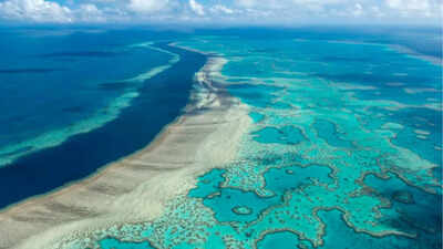 the great barrier reef near the whitsunday australia region is viewed from the air ap photo