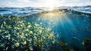 the world39s biggest oxygen producer isn39t the amazon it39s the ocean filled with tiny invisible li