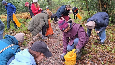 volunteers hand collect native tree seeds from scotland39s remote woodlands to help restore the coun