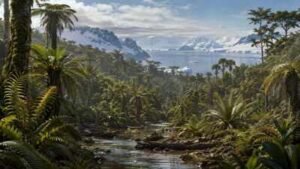 antarctica once had a rainforest just 900 km from the south pole fossil roots reveal how warm it was
