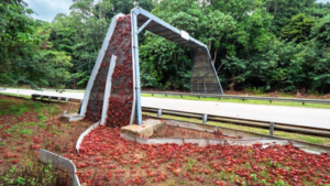 australia has built bridges just for crabs so millions of red crabs can safely migrate across christ
