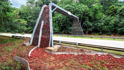 australia has built bridges just for crabs so millions of red crabs can safely migrate across christ