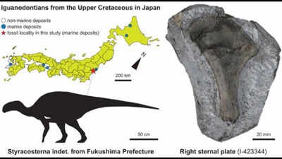 dinosaur iguanodontian