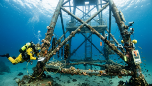 divers turned a floating wind turbine off spain into an underwater farm oysters clams mussels and gr