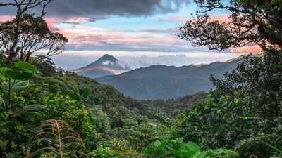 in 1972 costa rica began protecting a misty mountain forest decades later monteverdes 10500 hectares