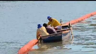 in rio de janeiros guanabara bay discarded salon hair is being transformed into an oil absorbing bar