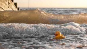london river was declared biologically dead in 1957 decades later it is filled with sharks and seals