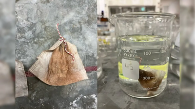 meet vick tan the minnesota student who turned a teabag into a low cost filter that removed more tha