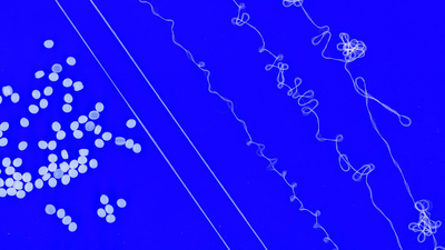 mit researchers melt resin pellets and spin them into thin stretchy fibres designed for repeated rec
