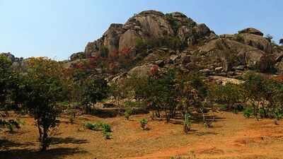 oldest evidence of life on earth has been discovered in india a 34 billion year old layered rock sho