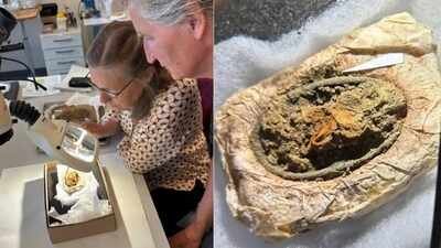 one of the brooches with textile remains credit arkologi vestjylland