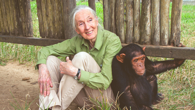 quote of the day by jane goodall every individual matters every individual has a role to play every