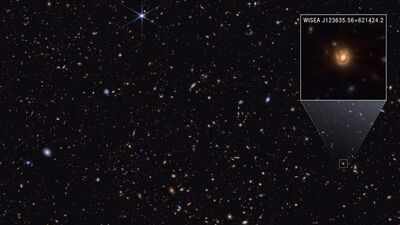 since webb discovered mysterious little red dots in 2022 astronomers have struggled to explain them