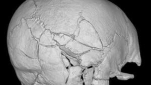 the 14th century warriors skull was broken in 61 places university of bradford photo