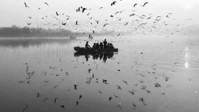 yamuna river