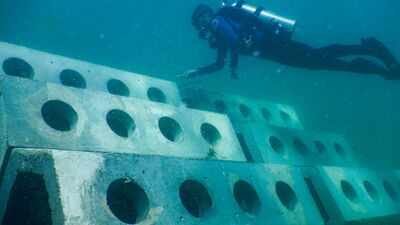 a hybrid artificial reef structure representational photo from a 2023 study university of miami