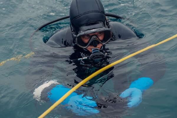 a new subsea cable project set to transform data connectivity in india