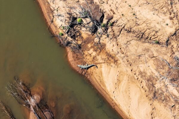 concerns surround queenslands fitzroy river as olympic venue