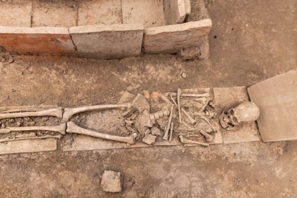 discovery of mass grave in sri lanka reopens civil war wounds