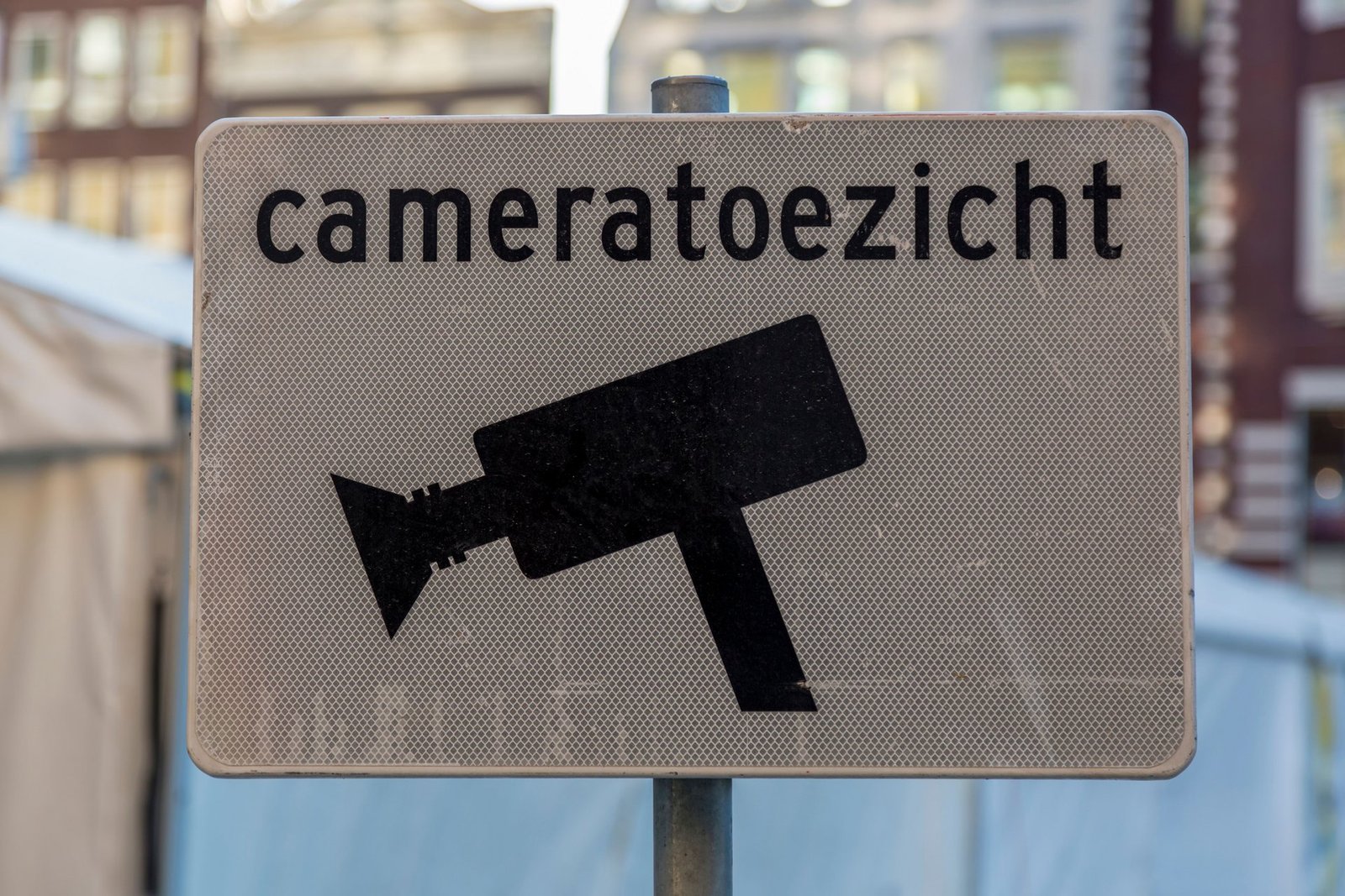 dutch language embraces change with new term for labia