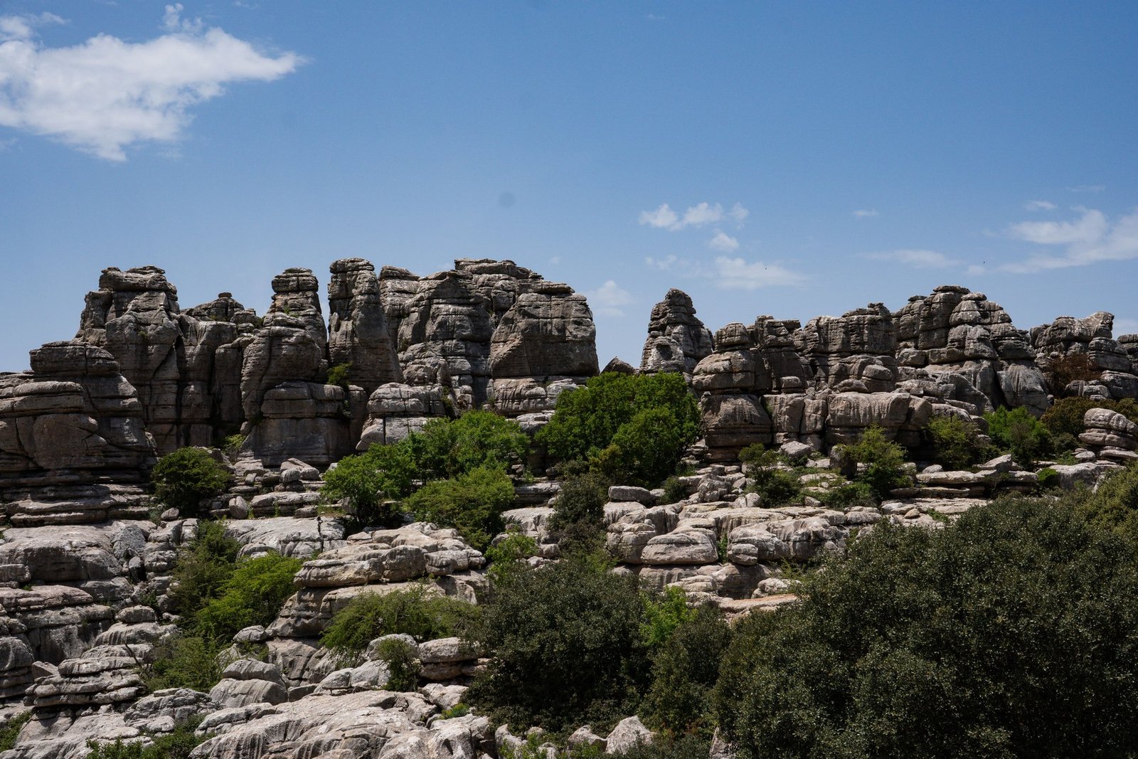 exploring the bentley torcal a walkaround insight