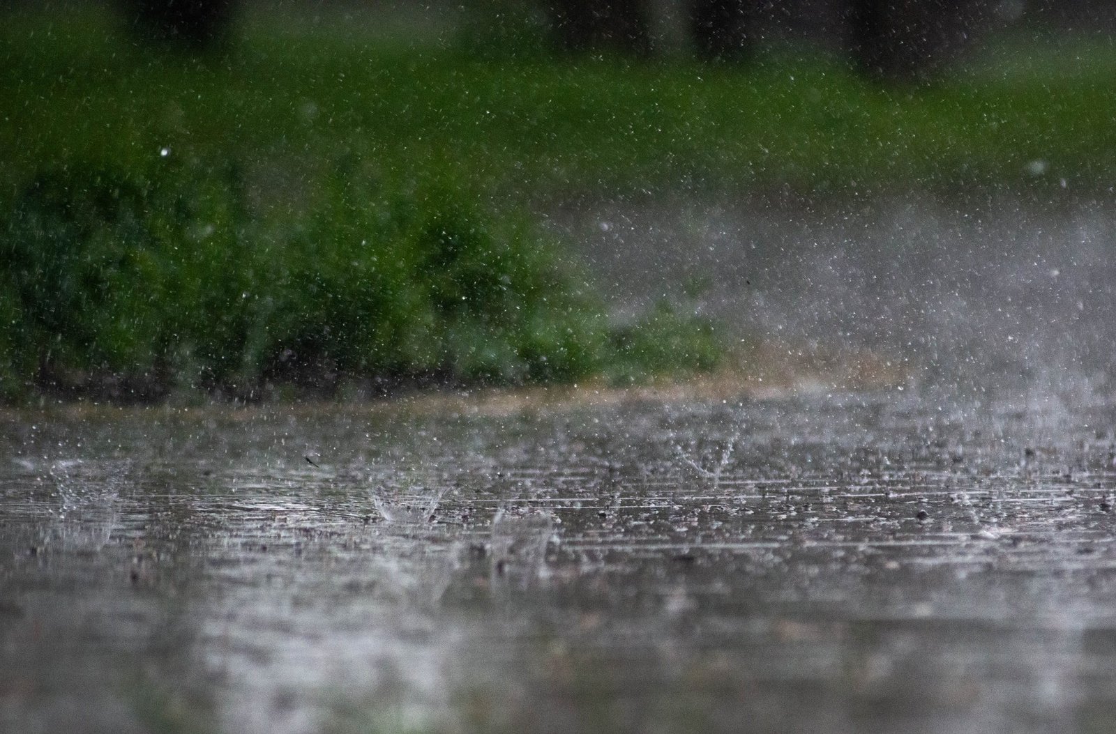 fatalities reported as noreaster storm hits new york and new jersey