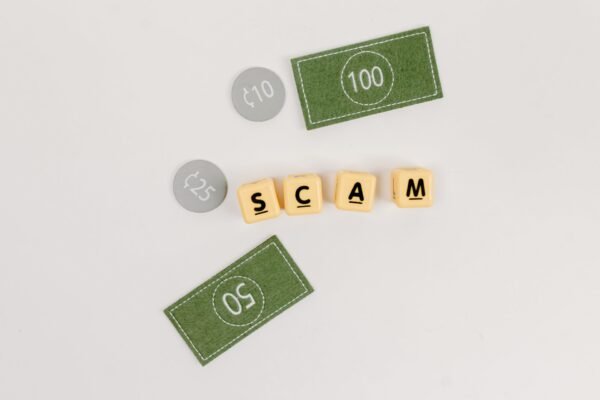 fraudulent crowdfunding scheme exposed man fabricates sisters illness