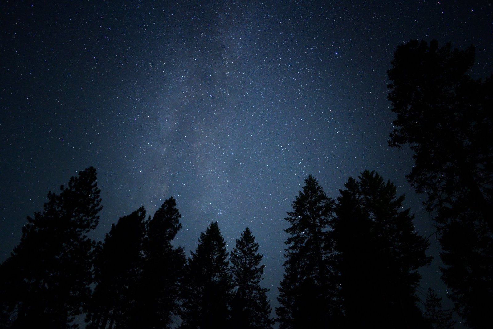 hanle indias first dark sky reserve inspires women in astronomy