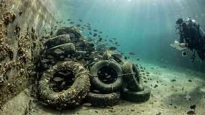 in 1994 researchers in california and arizona turned discarded tyres into underwater reefs and found