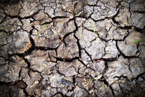 maharashtra faces severe drought conditions impacting majority of talukas