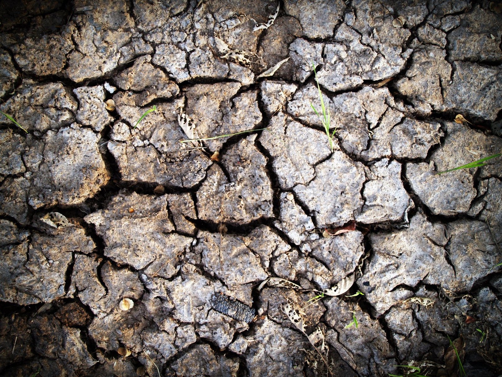 maharashtra faces severe drought conditions impacting majority of talukas