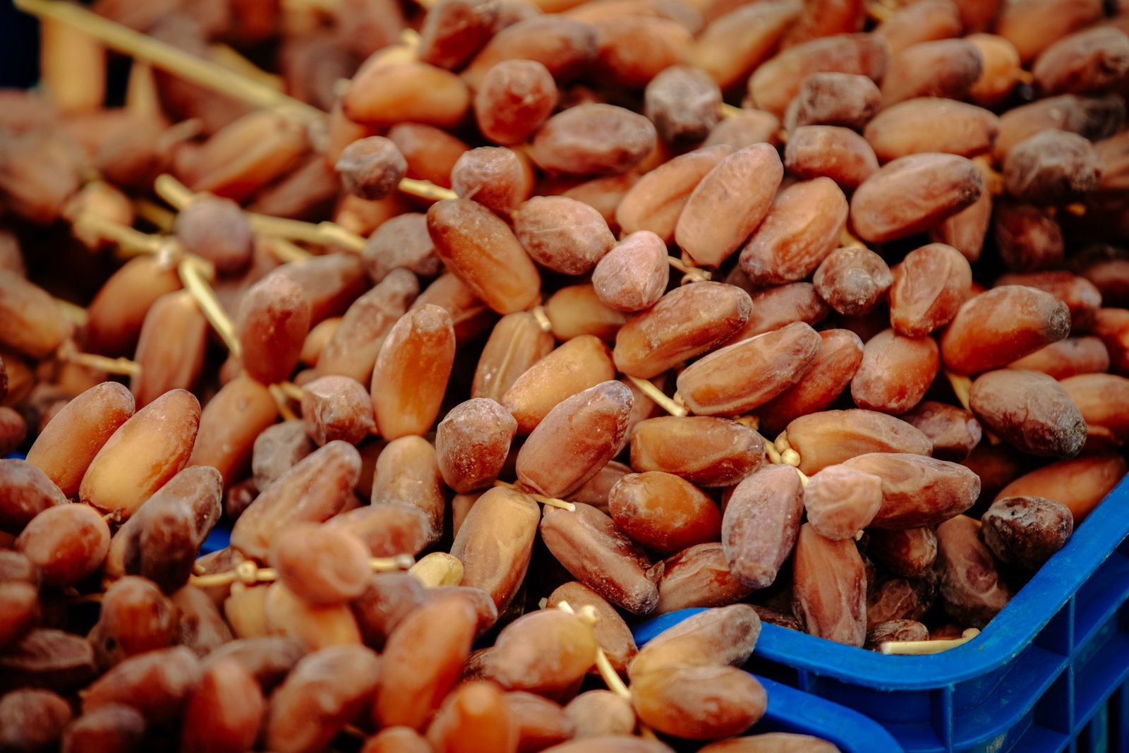 massive seizure of pakistani dates in maharashtra highlights smuggling concerns