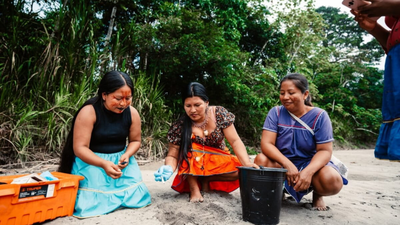 meet the turtle women of amazon 7 indigenous women are bringing vulnerable river turtles back from t