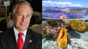 michael bloomberg committed 260 million to protect the worlds oceans his initiative has already stre