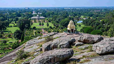 on august 30 thousands of bengalureans gathered at lalbagh and marched towards the iconic rock