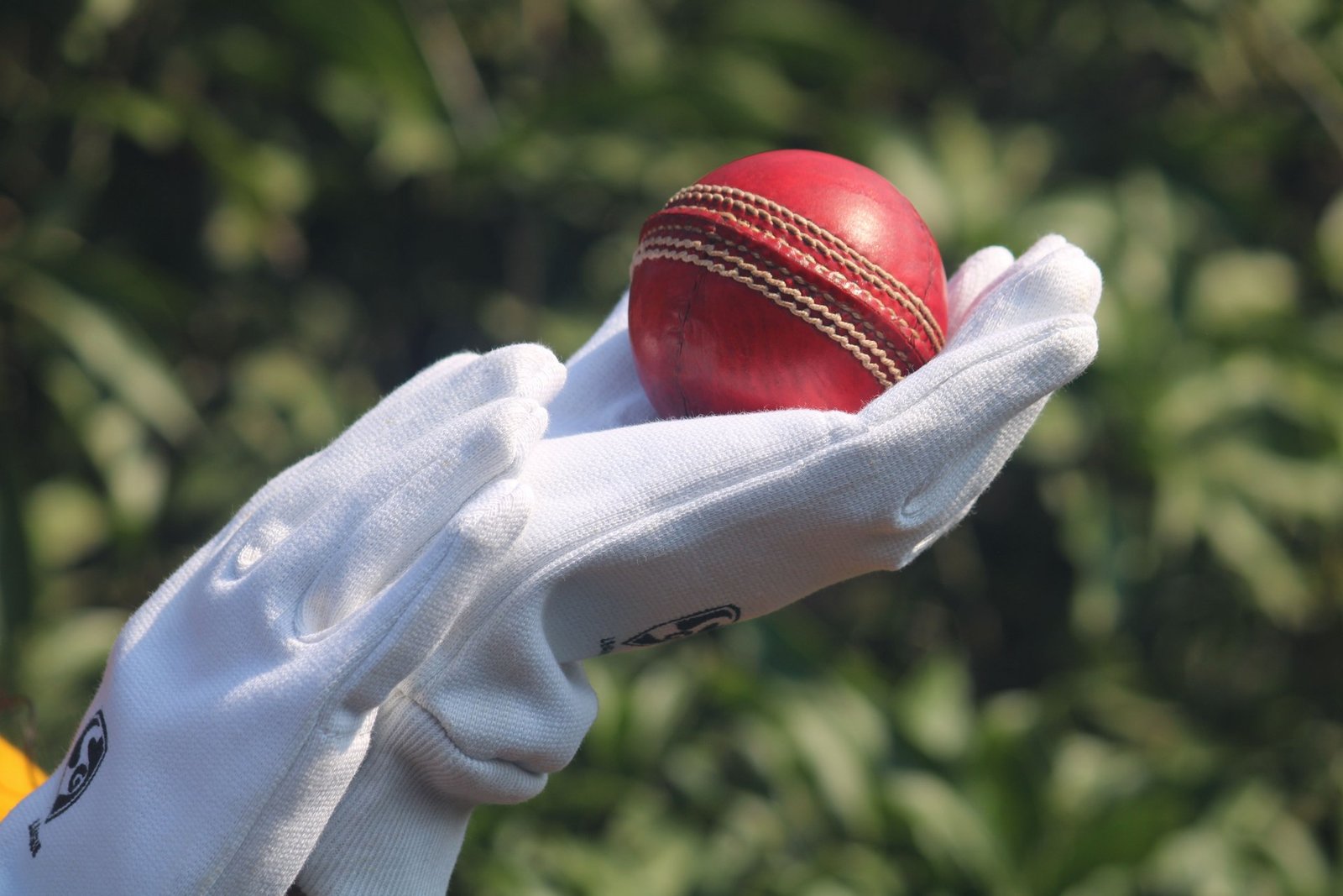 pakistans test team begins rebuilding journey says coach noffke
