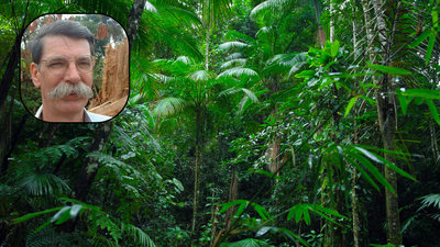philip fearnsides research has calculated the costs of losing the amazon on account of deforestation