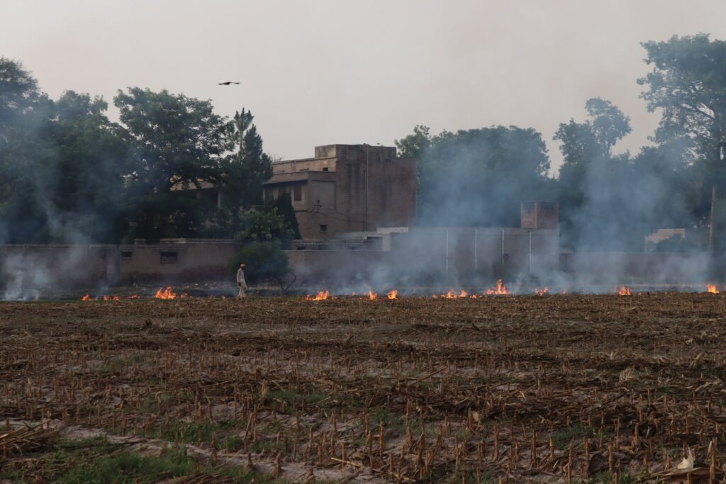 punjabs stubble burning politics and environmental concerns ahead of 2027 electi