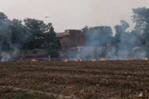 punjabs stubble burning politics and environmental concerns ahead of 2027 electi