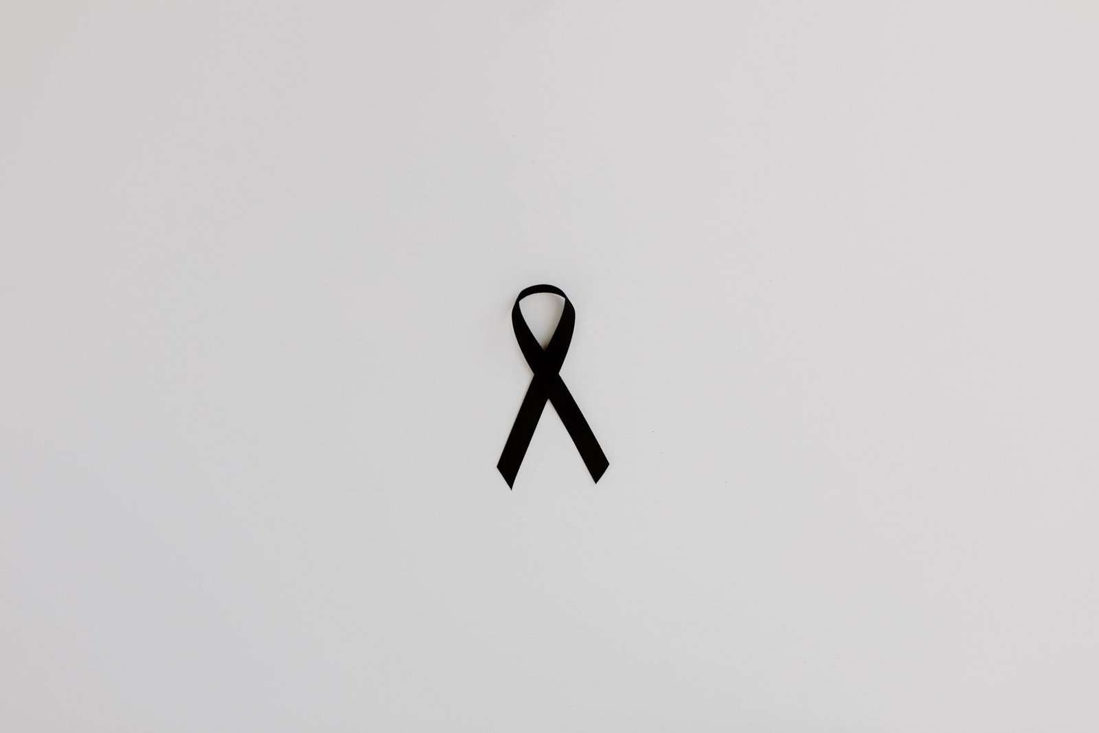 reflections on loss a survivors journey from tragedy to seeking justice