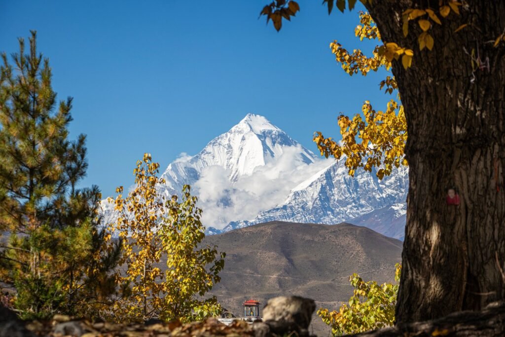 tragedy strikes at himlung himal peak as avalanche claims lives and leaves climb