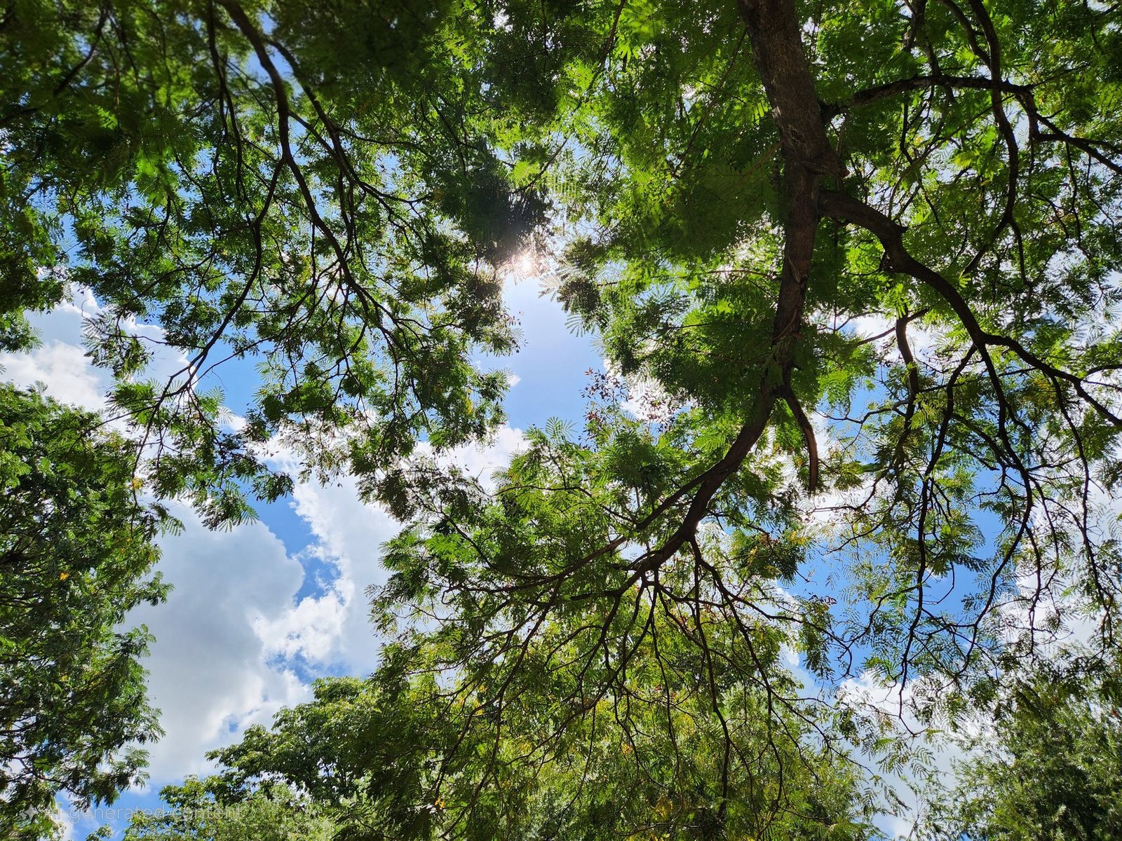 understanding nature through ancient tamil wisdom