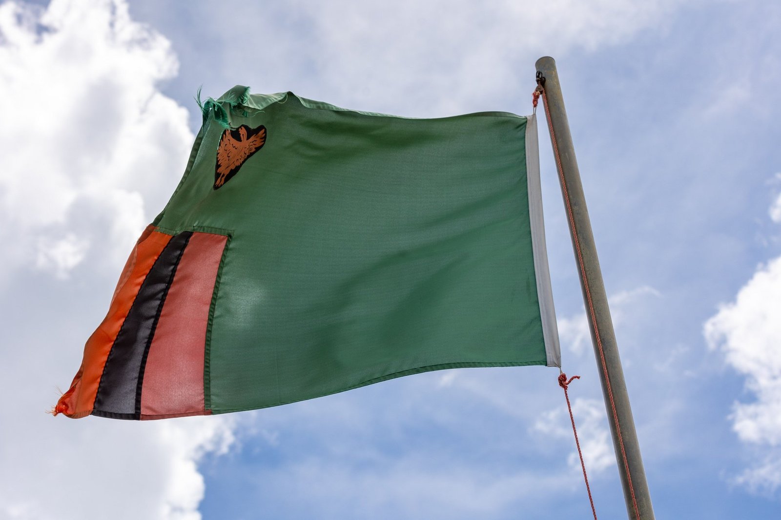 zambia issues health warning amid anthrax outbreak affecting wildlife