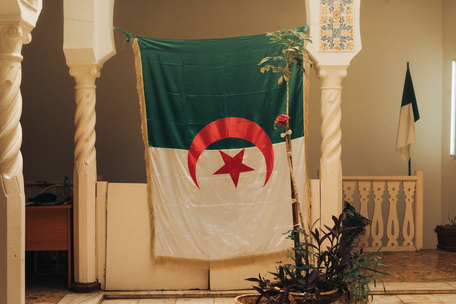 algeria enacts death penalty for arsonists following devastating wildfires